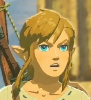 Offended Link  meme template