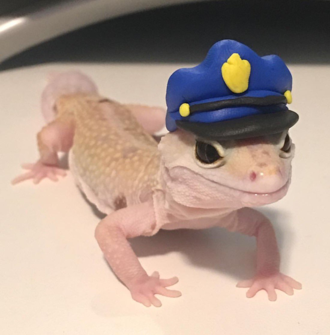 Officer Geck  meme template