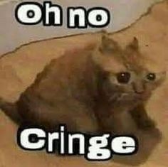 oH nO cRInGe  meme template