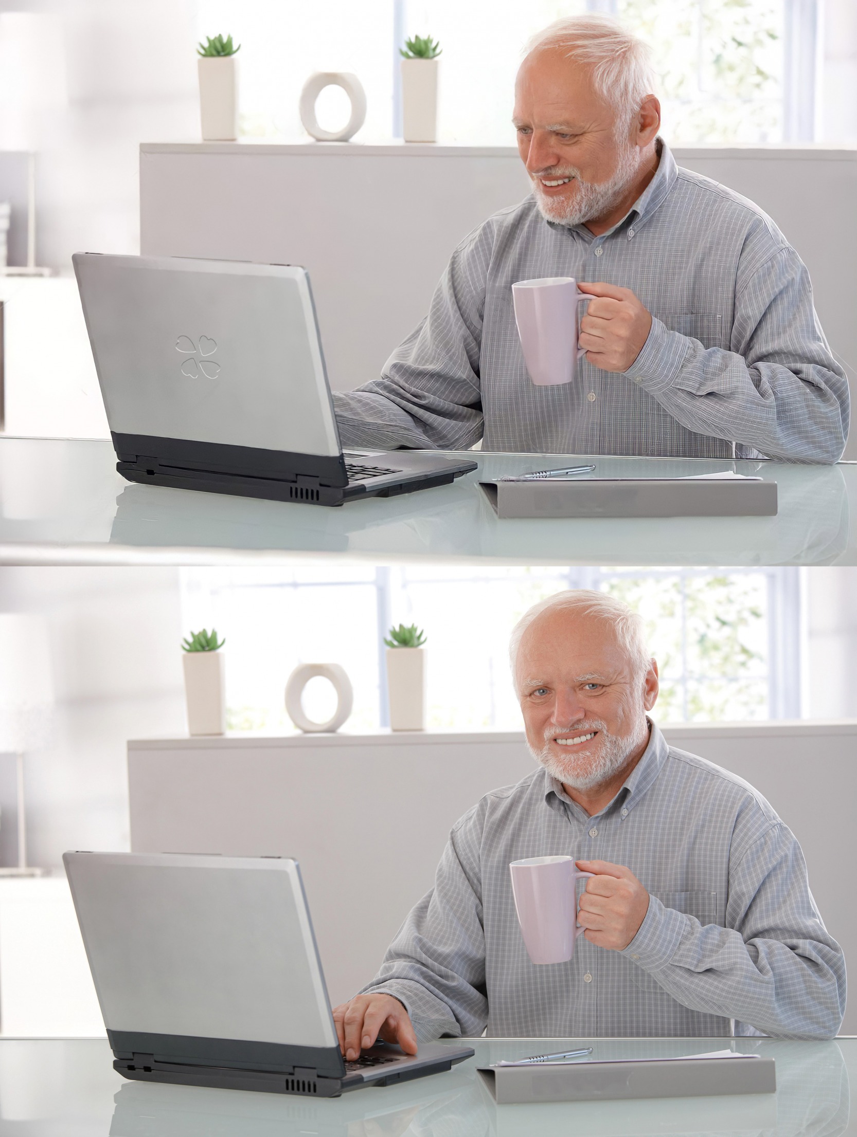 Old man at computer  meme template