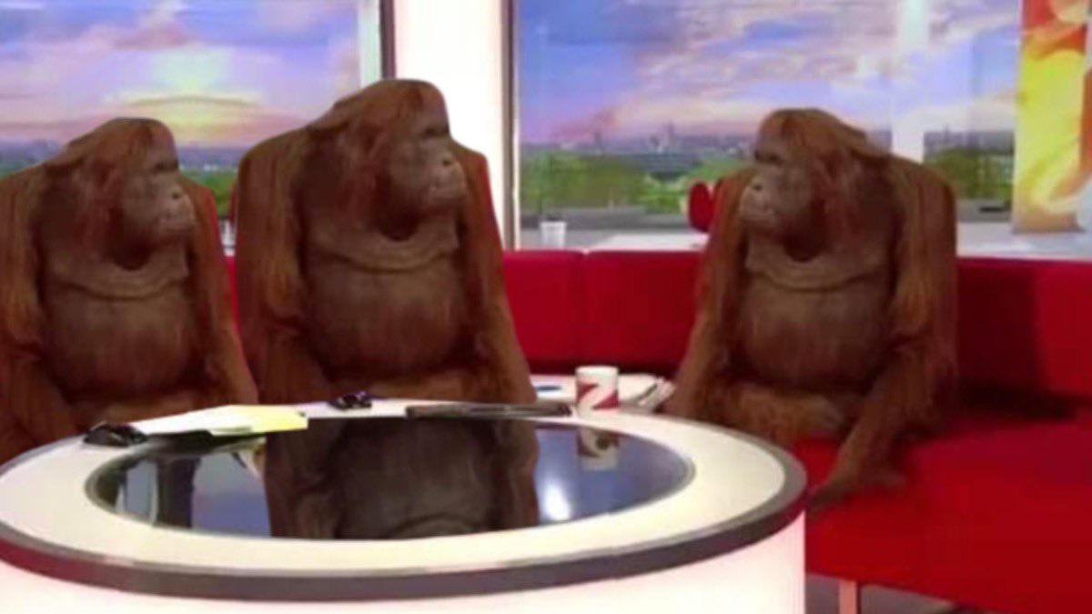 orangutan interview meme template
