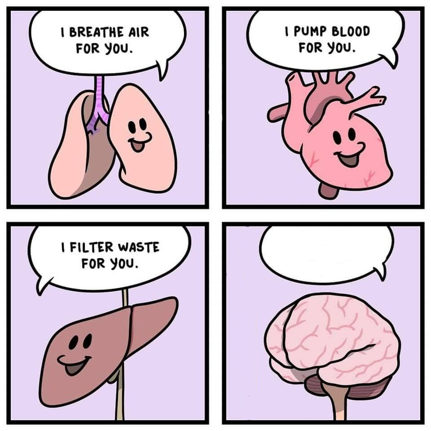 organs and brain  meme template
