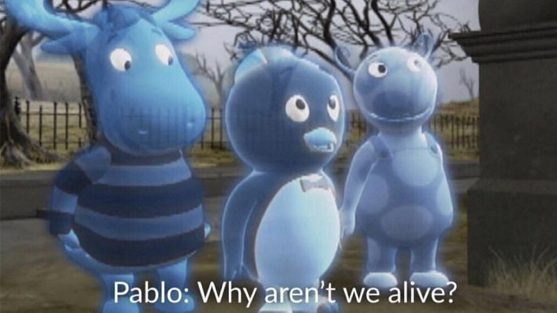 Pablo why aren't we alive?  meme template