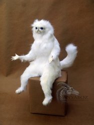 Persian Cat Room Guardian Single meme template