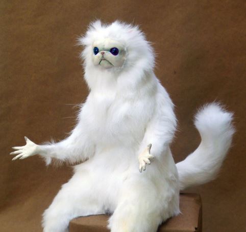 Persian white monkey  meme template