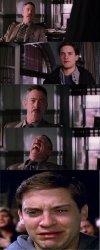 Peter Parker Cry meme template