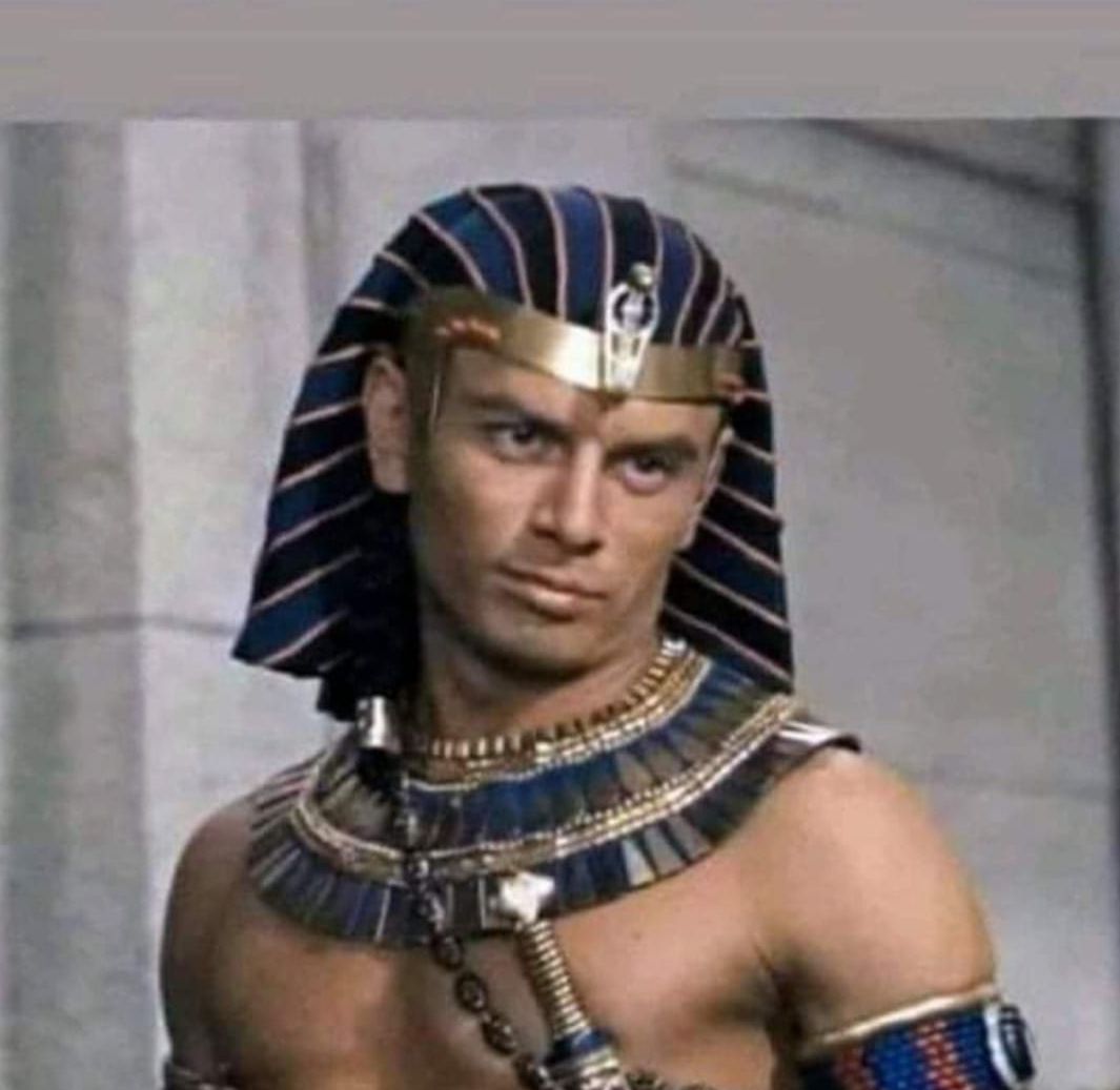 pharaoh  meme template