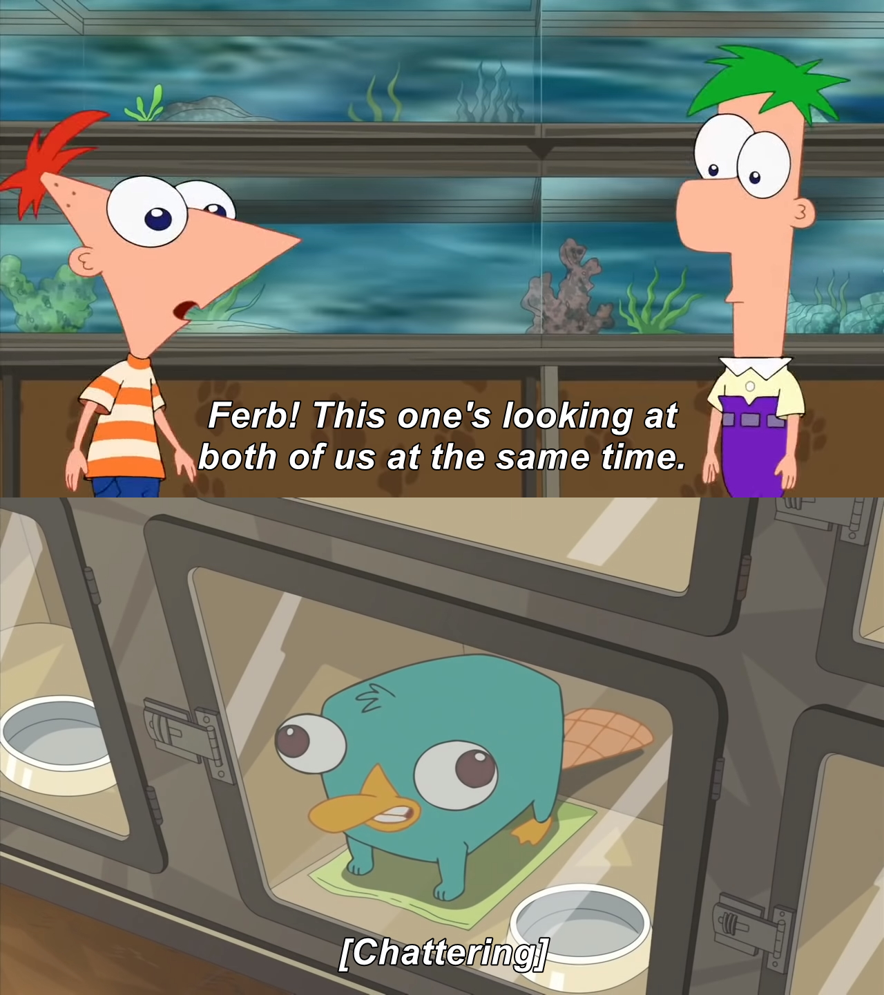 phineas and ferb  meme template