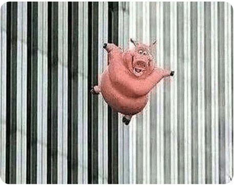 Pig jumping off  meme template