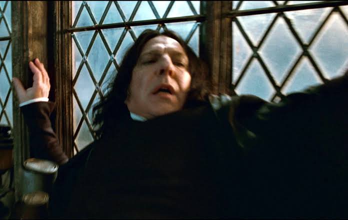 Professor Snape  meme template