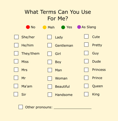 Pronouns Sheet  meme template