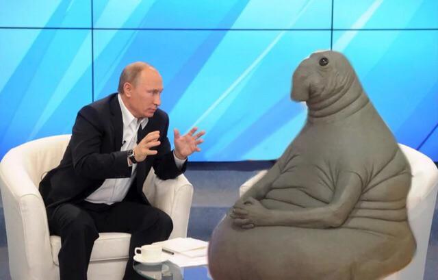 Putin talking to walrus  meme template