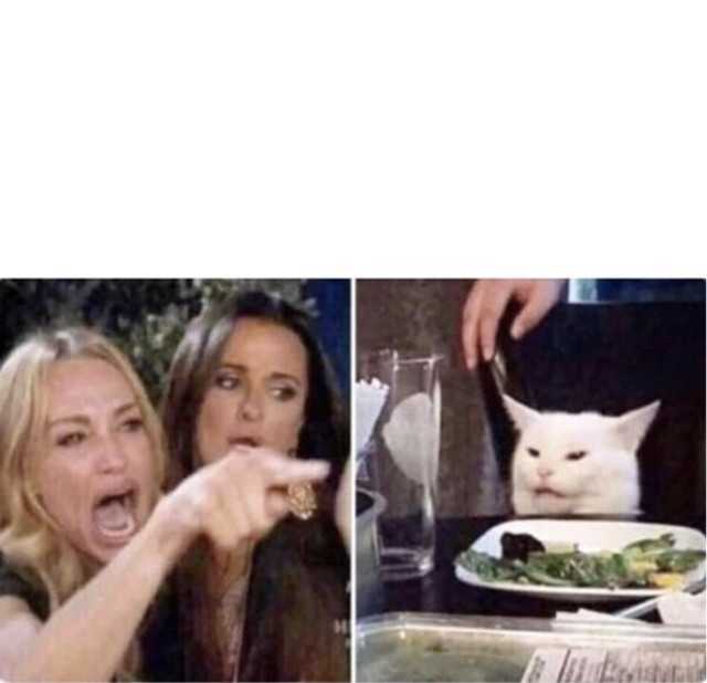 Real housewives screaming cat  meme template