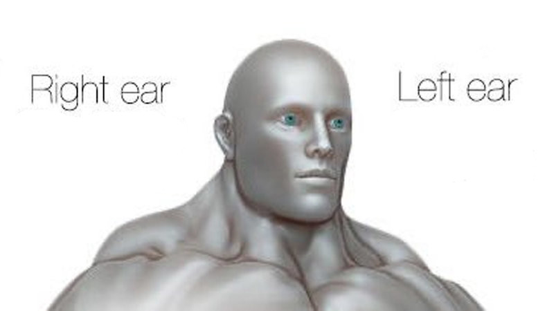 right ear left ear meme template