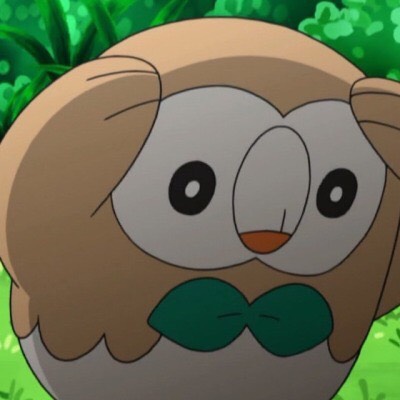 Rowlet Meme Template  meme template