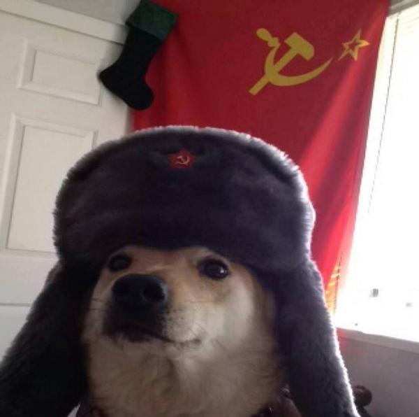 Russian Doge  meme template