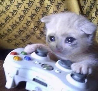 Sad gaming cat  meme template