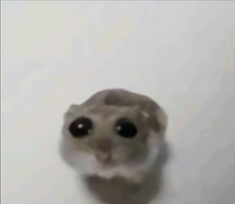 Sad hamster girly pop meme template