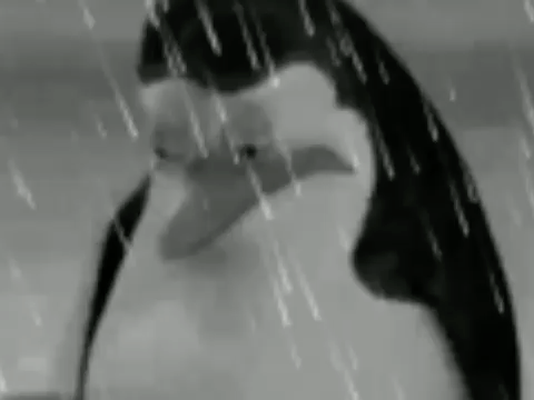 Sadge  meme template