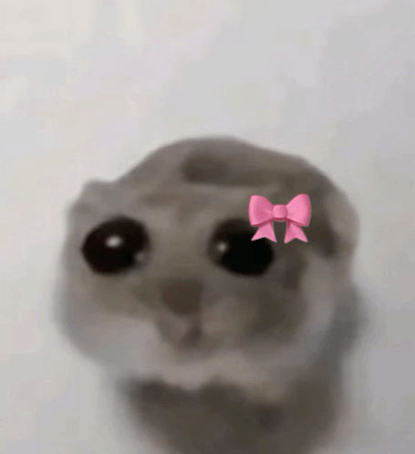 Sadge Hamsti ?? meme template