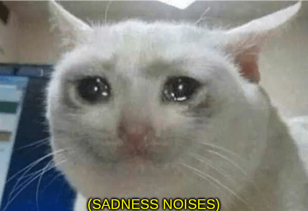 sadness noises  meme template