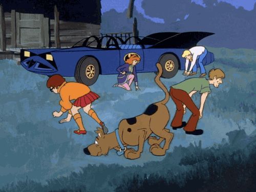 Scooby Doo Search  meme template