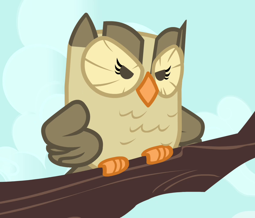 Scowled Owlowiscious (MLP)  meme template