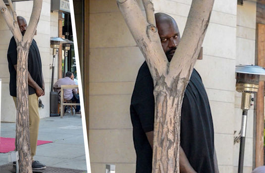 Shaq hiding  meme template