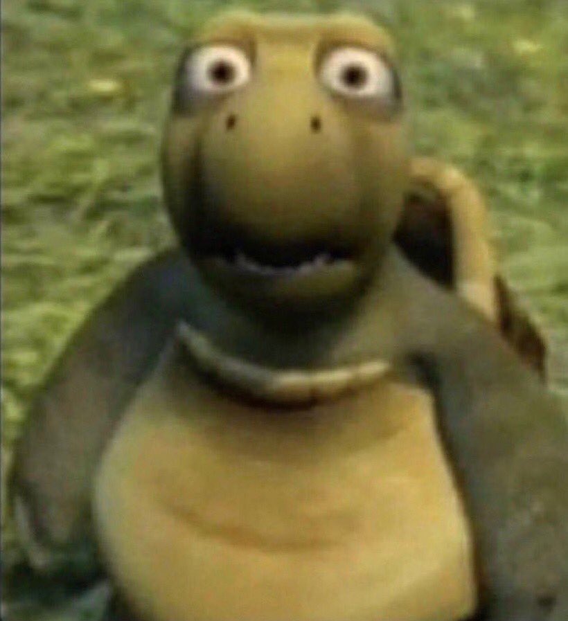 shocked turtle  meme template