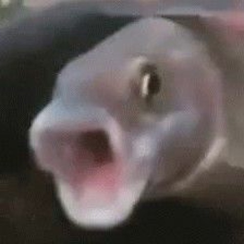 Shooketh  meme template