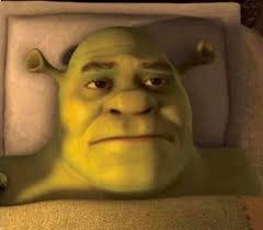 shrek disappointed  meme template