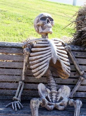 Skeleton on bench meme template