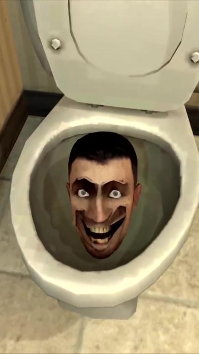 Skibidi toilet meme template