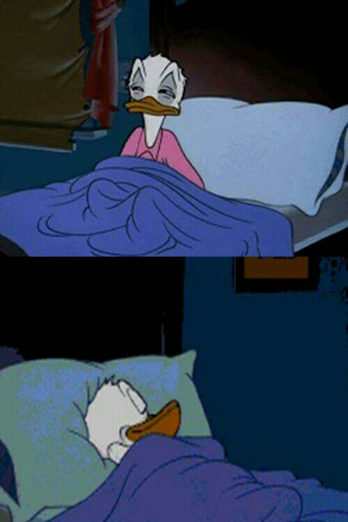sleepy donald duck in bed meme template