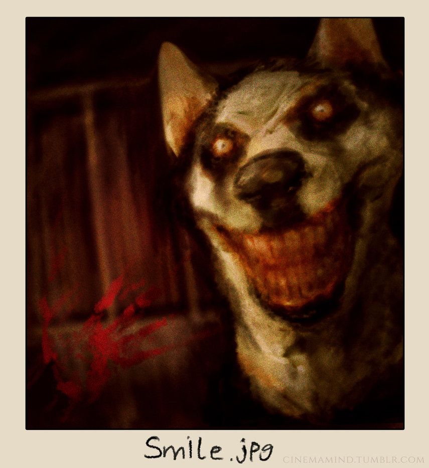 Smile Dog  meme template