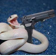 snake got gun  meme template