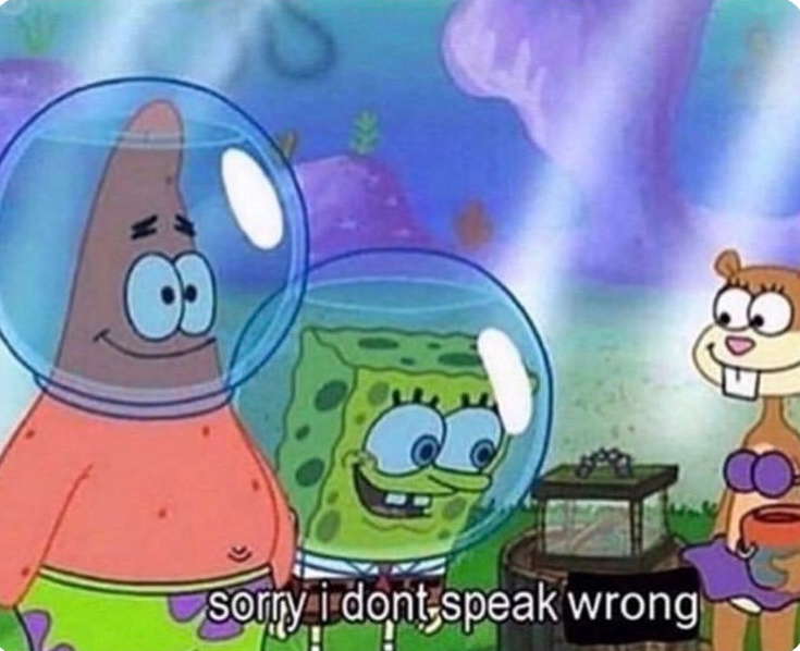 Sorry I don't speak wrong  meme template