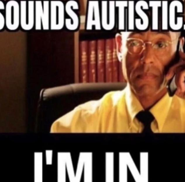 Sounds Autistic. meme template