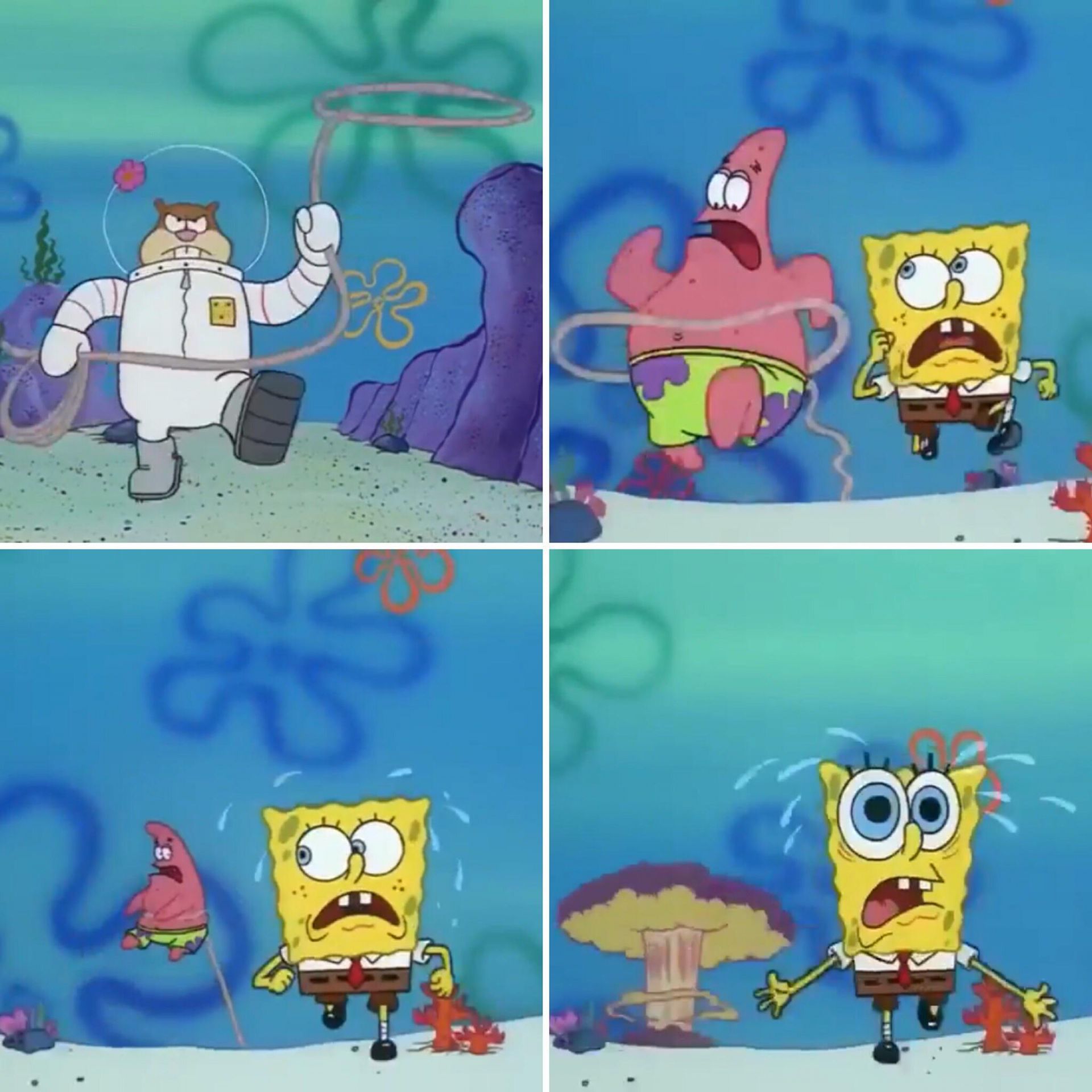 Spongebob lasso meme  meme template