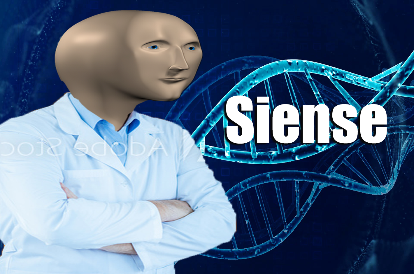 Stonks Siense  meme template