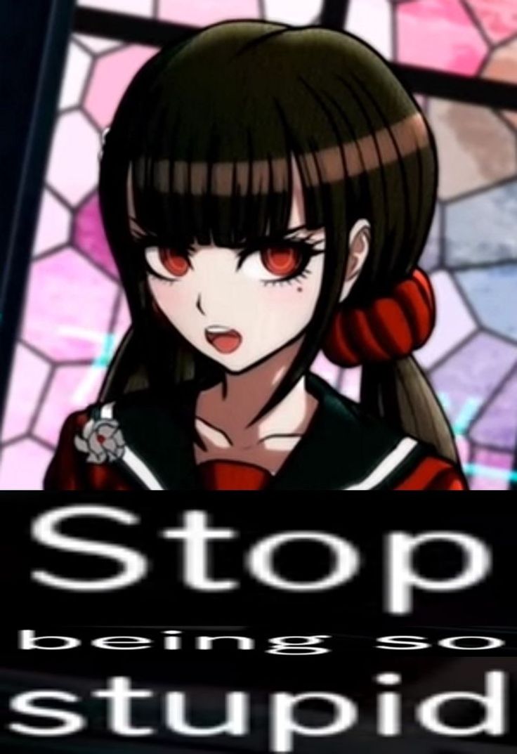 Stop being so stupid  meme template
