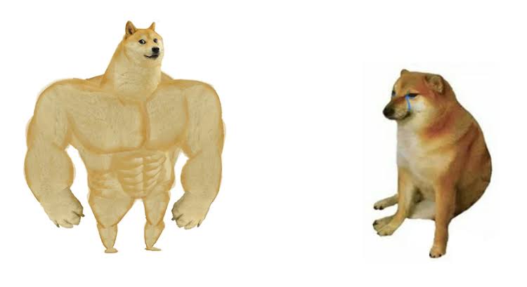 Strong doge weak doge meme template