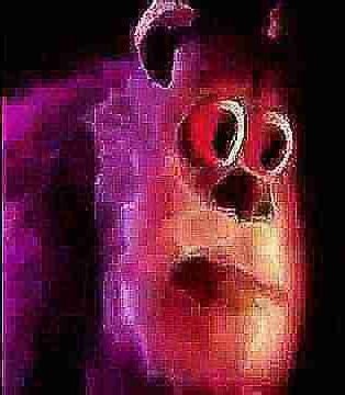 sullivian got shocked  meme template