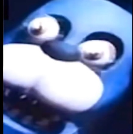 Surprised Bonnie  meme template