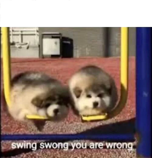 SWING SWONG YOU ARE WRONG  meme template