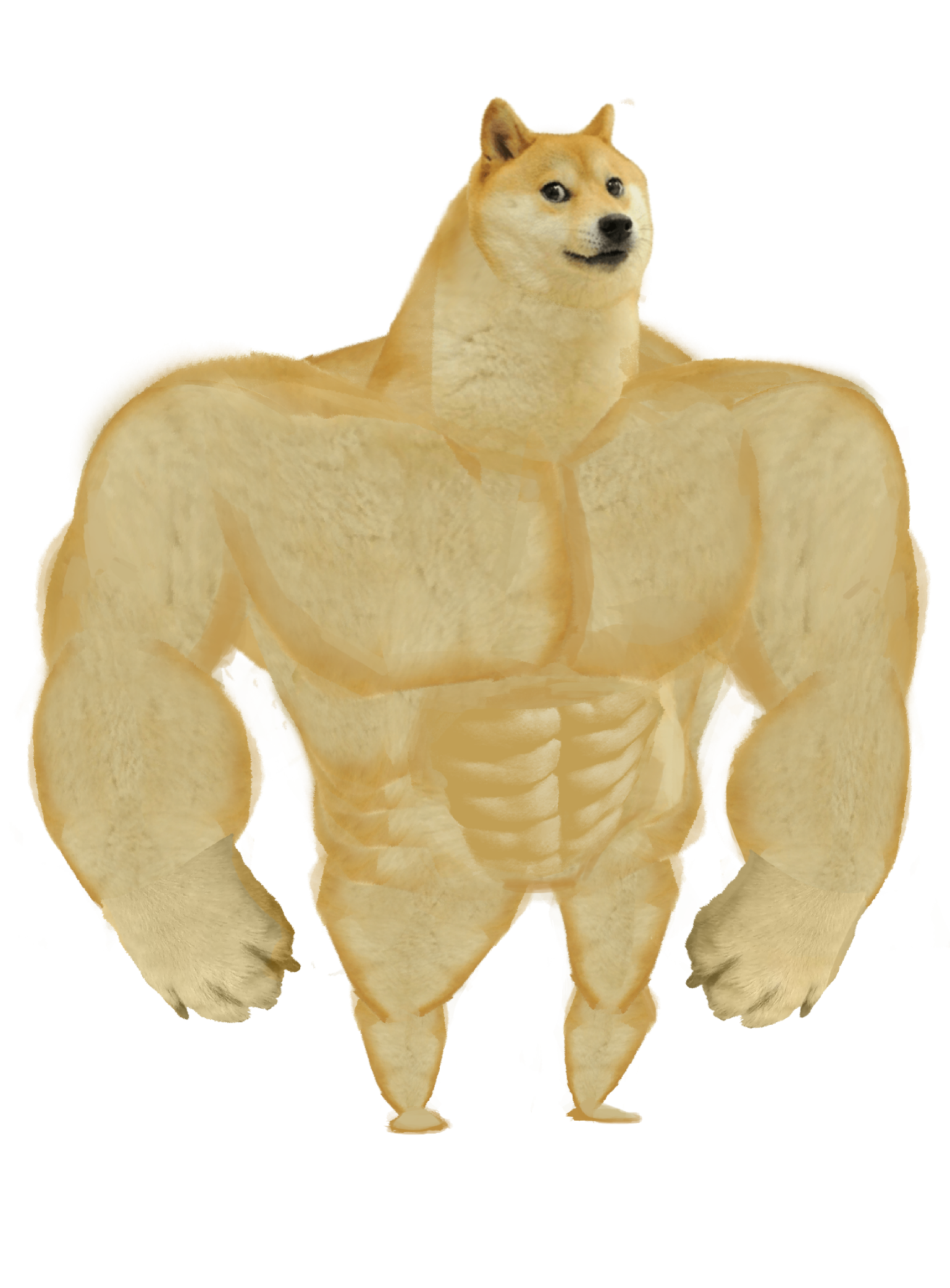 Swole Doge  meme template