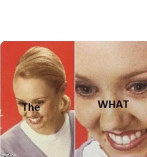 The What lady  meme template