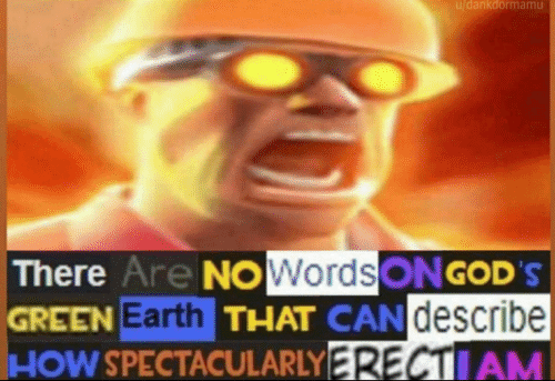 there are no words on god's green earth  meme template