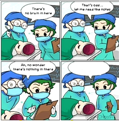 There's no brain here  meme template