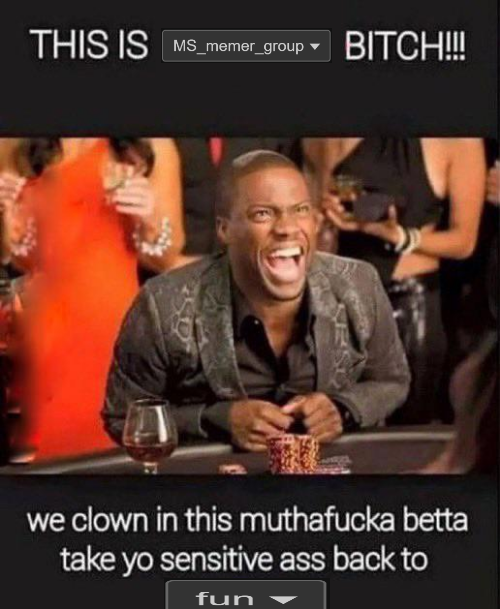 This is msmg bitch meme template